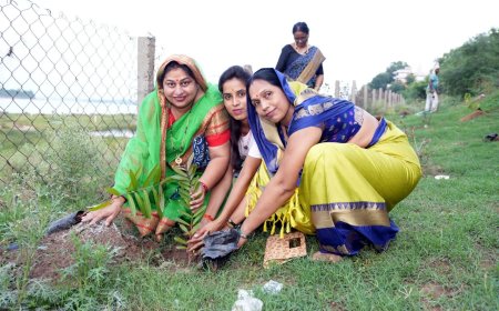 श्रीदाँगी द्वारा शादी की सालगिरह के उपलक्ष्य में लगाये फलदार   वक्ष और लिया संकल्प