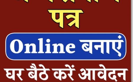 जन्म प्रमाण-पत्र बनवाना हुआ सहज एवं अनिवार्य - जिला योजना अधिकारी