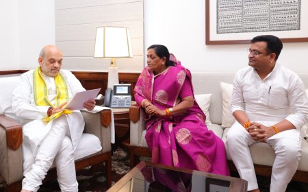 पेंशनर्स की मांग पर राज्य पुनर्गठन अधिनियम की धारा 49 (6) विलोपित करने गृहमंत्री से भेंट कर आग्रह किया श्रीमती माया नारोलिया