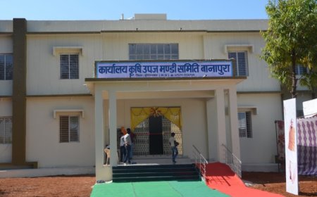 कृषि उपज मंडी समिति बानापुरा के फ़र्ज़ीवाड़े का  भाग -दो