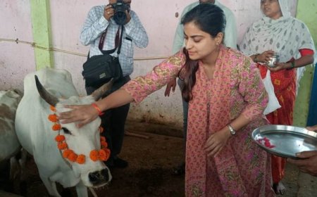 कलेक्‍टर ने ग्राम पंचायत केंद्र सांगाखेड़ा कलां, आरी, मोहासा,गूजरवाडा का का किया निरीक्षण