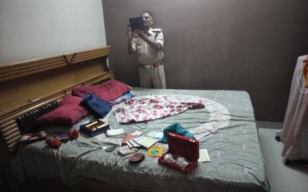 फिर एक सेवानिवृत्त  परिवार के खून पसीने की कमाई ले उड़े चोर