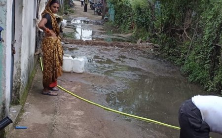 डेंगू से डोलरिया  के एक ही मोहल्ले में दो लोगों की मौत, जिला प्रशासन मौन