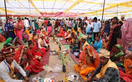 केसला के ग्राम सहेली में हुआ सामूहिक विवाह का भव्य आयोजन, 508 जोड़े बंधे परिणय सूत्र में