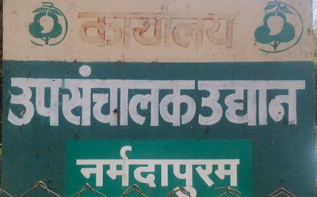 आख़िर आठ वर्षों में क्यो नहीं दिए पीडब्लूडी ने उद्यान विभाग के 15250/-???