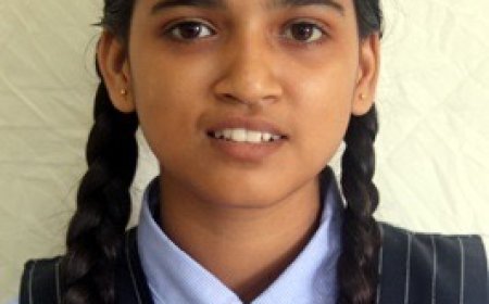 स्प्रिंगडेल्स के विद्यार्थियों ने सीबीएसई बोर्ड परीक्षा कक्षा बारहवीं एवं दसवीं में लहराया परचम 