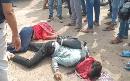 नर्मदा ब्रिज पर फिर भीषण हादसा एक युवक एक युवती की घटनास्थल पर दर्दनाक मौत