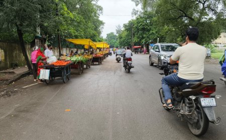 जबावदारों की लाचारी, या नहीं निभा रहे जिम्मेदारी?