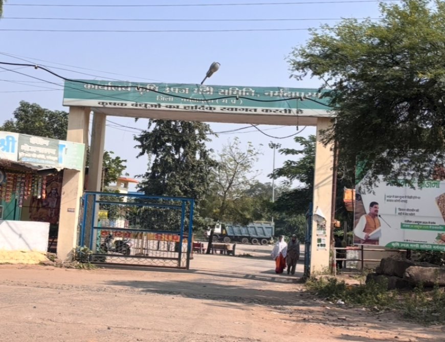 कृषि उपज मंडी नर्मदापुरम में फ़र्ज़ी बिलों से लाखों के किए जा रहे भुगतान
