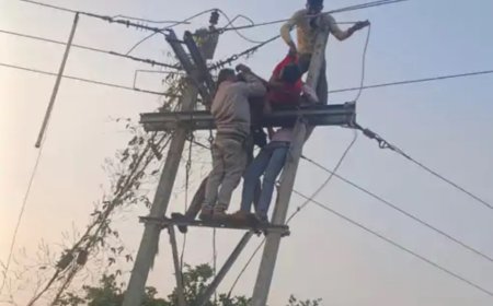 फॉल्ट सुधारने खंभे पर चढ़े बिजली कर्मचारी की करंट लगने से मौत