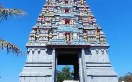 स्प्रिंगडेल्स स्कूल के नन्हे–मुन्ने बच्चे निकले शैक्षणिक भ्रमण पर